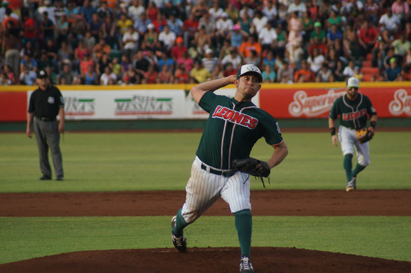 JUEGO DE TIGRES Y LEONES juego de tigres y leones: