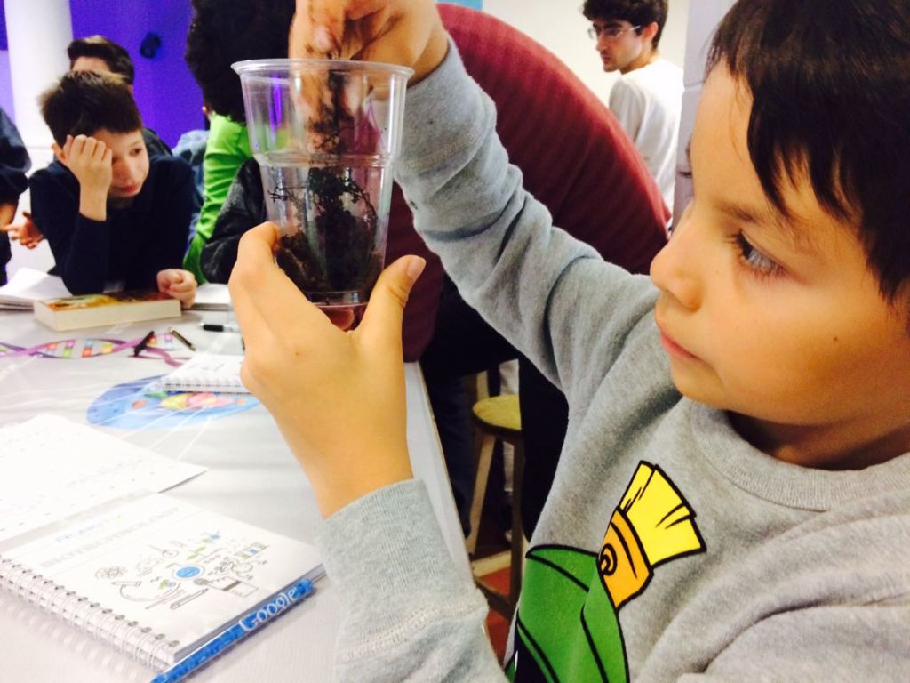 Biotecnologia curso